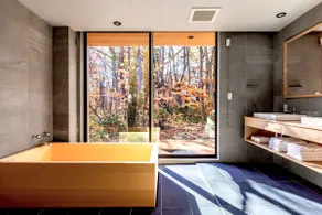 Skiing Paradise/Autumn Foliage Viewing/Newly Built Villa/Two Free Parking Spaces/The Maple Forest House - Image 5