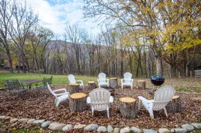 Relaxing Farmhouse, pet friendly, walk to town - Image 4