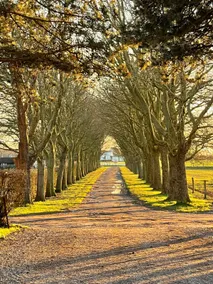Gatekeeper's residence Søllestedgaard Estate - Image 2