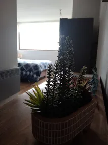 Quiet new apartment in the heart of the city - Image 3