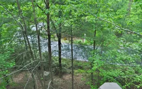 Top of the Trees in Big Canoe - Image 2