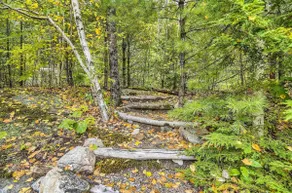 Modern Luxury in a Spectacular Natural Setting - Image 2
