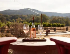 Cozy bungalow - walk to vineyards & restaurants - Image 2