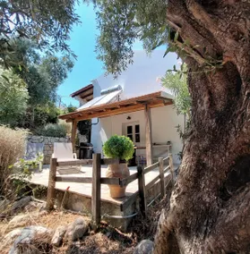 Charming house surrounded by olive trees - Image 3