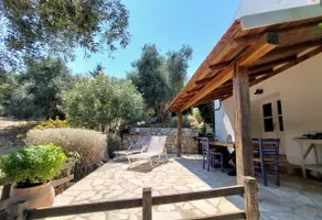 Charming house surrounded by olive trees - Image 4