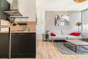 Duplex trip in the city center - Image 5