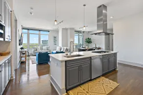 Ultimate Penthouse | Luxury | Location | Tysons - Image 3