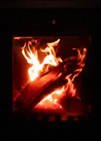 Frost - Image 4