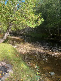 Glamping on the River - Image 3