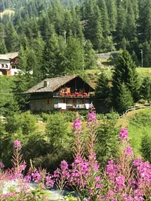 Apartment in Chalet25 - Image 4