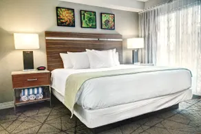 Desert Rose Resort - Image 4