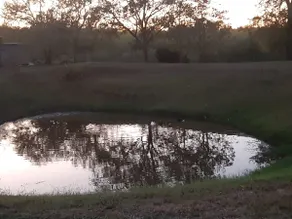 Cozy country cottage, with fire pit and pond. - Image 2