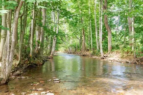 Serenity Views Retreat - Close to City and Parkway! - Image 2