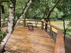 Healthy Nature - Image 3