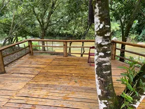 Healthy Nature - Image 4