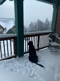 Ski in and out, pet and kid friendly, slope side townhouse - Image 2