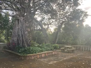 House on a hacienda with a cenote in the Mayan jungle - Image 5