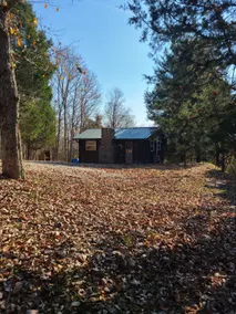 The Cabin - Image 2