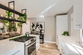 Cozy Green House | Kitchen, Yard, Office, Quiet - Image 4