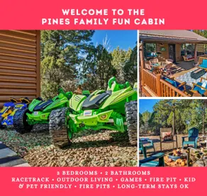 Family & Pet Friendly Cabin In Pines Huge Deck Views BBQ Power Wheels Race Track - Image 2