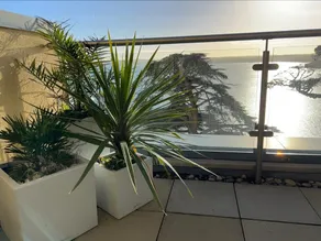 Blu Tides - Image 5