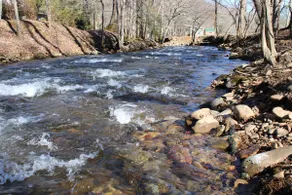 Water's Edge: Creek front, Hot Tub, Wifi - Image 3