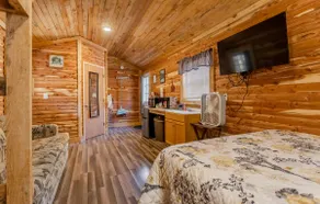 Alley Springs Cabin - Image 5