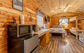 Alley Springs Cabin - Image 4
