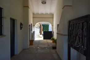 Exclusive estate of holm oaks and cork oaks. - Image 5