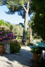 Villa Grand Cèdre - Image 4