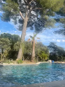 Villa Grand Cèdre - Image 5