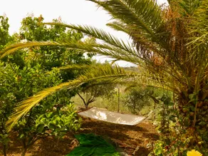 Villa Capperi – 5BR Retreat, Pizza Oven & Views - Image 3