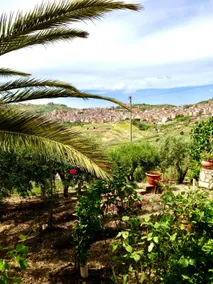Villa Capperi – 5BR Retreat, Pizza Oven & Views - Image 4
