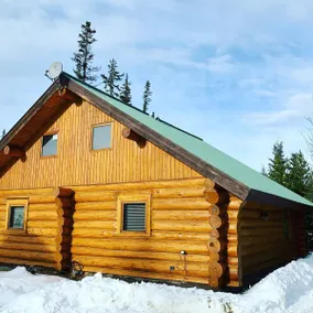 3-Bedroom Log Cabin with private deck and view - Image 2