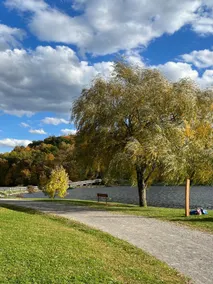 Now booking summer at Cheat Lake! - Image 2