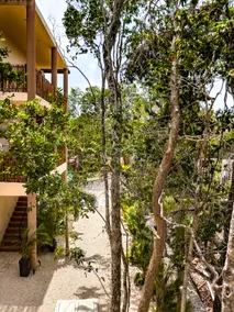 Selva Serenity - Studio with Pool - Image 5