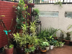 Darren's Place - Image 5