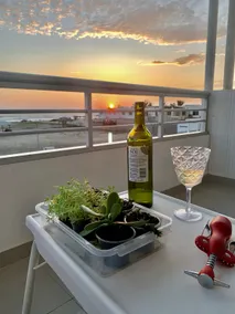 Oceanfront apartment with large balcony, pool, wifi - Image 3