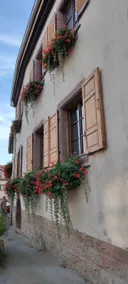 Gîte À l'aigle de sable (Sand Eagle Gîte) - Image 3