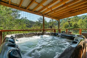 Memorial Day sale, No Pet Fee, Secluded, Hot Tub - Image 3