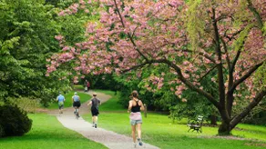 Seattle Urban Oasis in Vibrant Columbia City - Image 3