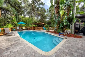 Paradise palms oasis Clearwater - Image 2