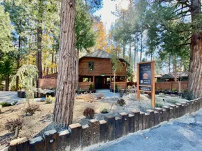 Yesteryear - Pet-friendly log cabin close to town - Image 3