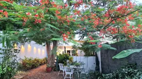 Casa Tulum. Lovely Garden with Pool! 3 Rooms - Image 3
