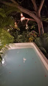 Casa Tulum. Lovely Garden with Pool! 3 Rooms - Image 4