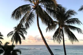 Beachfront Condo - 2 bed (Leith Court #11) - Image 5