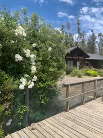 2 Country Houses - Image 4