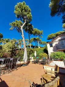 Sun, sea, pine and pool retreat in Antibes - Image 3