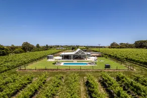 Pethick House: Estate amongst the vineyards - Image 3