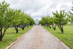 Pethick House: Estate amongst the vineyards - Image 2